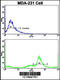 Complement C5 antibody, 63-525, ProSci, Flow Cytometry image 