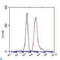 CREB Regulated Transcription Coactivator 1 antibody, LS-C813139, Lifespan Biosciences, Flow Cytometry image 