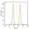 NFKB Inhibitor Alpha antibody, 39-7700, Invitrogen Antibodies, Flow Cytometry image 