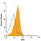 Receptor Tyrosine Kinase Like Orphan Receptor 2 antibody, FAB20641A, R&D Systems, Flow Cytometry image 