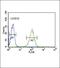 Nitric Oxide Synthase 3 antibody, GTX81622, GeneTex, Flow Cytometry image 