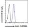 Protein CLEC16A antibody, NBP2-78807, Novus Biologicals, Flow Cytometry image 