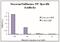 Seasonal H1N1 Nucleocapsid Protein antibody, NBP2-41114, Novus Biologicals, Enzyme Linked Immunosorbent Assay image 