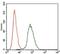 Casein Kinase 2 Alpha 1 antibody, MA5-17062, Invitrogen Antibodies, Flow Cytometry image 