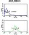 Neuropilin 1 antibody, abx034213, Abbexa, Flow Cytometry image 