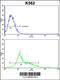 Par-3 Family Cell Polarity Regulator antibody, 63-585, ProSci, Flow Cytometry image 