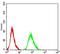 Adrenoceptor Beta 2 antibody, NBP2-61710, Novus Biologicals, Flow Cytometry image 