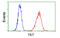 Transketolase antibody, MBS833872, MyBioSource, Flow Cytometry image 