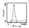 Integrin Subunit Alpha L antibody, MA5-17453, Invitrogen Antibodies, Flow Cytometry image 