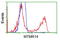 Myotubularin Related Protein 14 antibody, LS-C115633, Lifespan Biosciences, Flow Cytometry image 