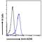 Acetylcholinesterase antibody, 45-193, ProSci, Immunofluorescence image 