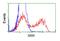 Serine racemase antibody, NBP2-02332, Novus Biologicals, Flow Cytometry image 