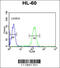 Plasmalemma Vesicle Associated Protein antibody, 63-917, ProSci, Flow Cytometry image 