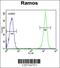 CKLF Like MARVEL Transmembrane Domain Containing 7 antibody, 61-759, ProSci, Immunofluorescence image 