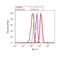 alpha-Tubulin antibody, 13-8000, Invitrogen Antibodies, Flow Cytometry image 