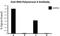 RNA Polymerase II antibody, 904003, BioLegend, Western Blot image 