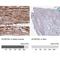 Synaptopodin 2 Like antibody, NBP2-33741, Novus Biologicals, Immunohistochemistry paraffin image 