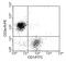 Antigen-presenting glycoprotein CD1d1 antibody, AM08103FC-N, Origene, Flow Cytometry image 