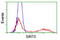 Sirtuin 5 antibody, LS-C173172, Lifespan Biosciences, Flow Cytometry image 