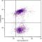 Integrin Subunit Alpha L antibody, NBP1-27872, Novus Biologicals, Flow Cytometry image 