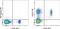 V-Set Immunoregulatory Receptor antibody, 12-1083-82, Invitrogen Antibodies, Flow Cytometry image 