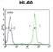 Developmental pluripotency-associated 5 protein antibody, abx026211, Abbexa, Flow Cytometry image 