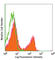 T Cell Receptor Gamma Variable 3 antibody, 109205, BioLegend, Flow Cytometry image 