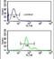 Acid Sensing Ion Channel Subunit 1 antibody, PA5-26278, Invitrogen Antibodies, Flow Cytometry image 