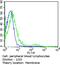 T Cell Receptor Alpha Constant antibody, TCR2764, Invitrogen Antibodies, Flow Cytometry image 