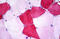 Ubiquitin Conjugating Enzyme E2 O antibody, MBS243213, MyBioSource, Immunohistochemistry frozen image 