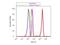 Peroxisome Proliferator Activated Receptor Alpha antibody, NB120-3484, Novus Biologicals, Flow Cytometry image 