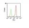 CD46 Molecule antibody, M00377, Boster Biological Technology, Flow Cytometry image 