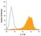 Interleukin 17 Receptor C antibody, PA5-47285, Invitrogen Antibodies, Flow Cytometry image 