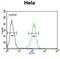 Transmembrane Protein 214 antibody, abx025581, Abbexa, Flow Cytometry image 