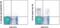 C-X-C Motif Chemokine Receptor 3 antibody, 13-1831-82, Invitrogen Antibodies, Flow Cytometry image 