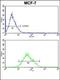 Cadherin 19 antibody, orb235082, Biorbyt, Flow Cytometry image 