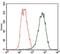 Tubulin Beta 2A Class IIa antibody, NBP2-37376, Novus Biologicals, Flow Cytometry image 