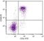 Thy-1 Cell Surface Antigen antibody, NBP1-28035, Novus Biologicals, Flow Cytometry image 