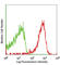 C-C Motif Chemokine Receptor 9 antibody, 129707, BioLegend, Flow Cytometry image 