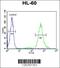 Transmembrane 131 Like antibody, 61-733, ProSci, Flow Cytometry image 