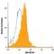 Colony Stimulating Factor 2 Receptor Alpha Subunit antibody, FAB706A, R&D Systems, Flow Cytometry image 