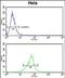 Coactosin Like F-Actin Binding Protein 1 antibody, PA5-72581, Invitrogen Antibodies, Flow Cytometry image 