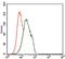 Forkhead Box P1 antibody, NBP2-37450, Novus Biologicals, Flow Cytometry image 