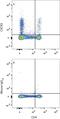 C-X-C Motif Chemokine Receptor 3 antibody, FAB8109A, R&D Systems, Flow Cytometry image 