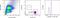 Arginase 1 antibody, 48-3697-82, Invitrogen Antibodies, Flow Cytometry image 