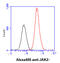 Janus Kinase 2 antibody, GTX57670, GeneTex, Flow Cytometry image 