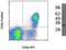 CD8b Molecule antibody, 14-5273-82, Invitrogen Antibodies, Flow Cytometry image 