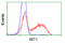 Nitrilase homolog 1 antibody, TA501034, Origene, Flow Cytometry image 