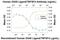 TNF Superfamily Member 4 antibody, AF1054, R&D Systems, Western Blot image 