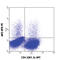 Interleukin 3 antibody, 503903, BioLegend, Immunocytochemistry image 